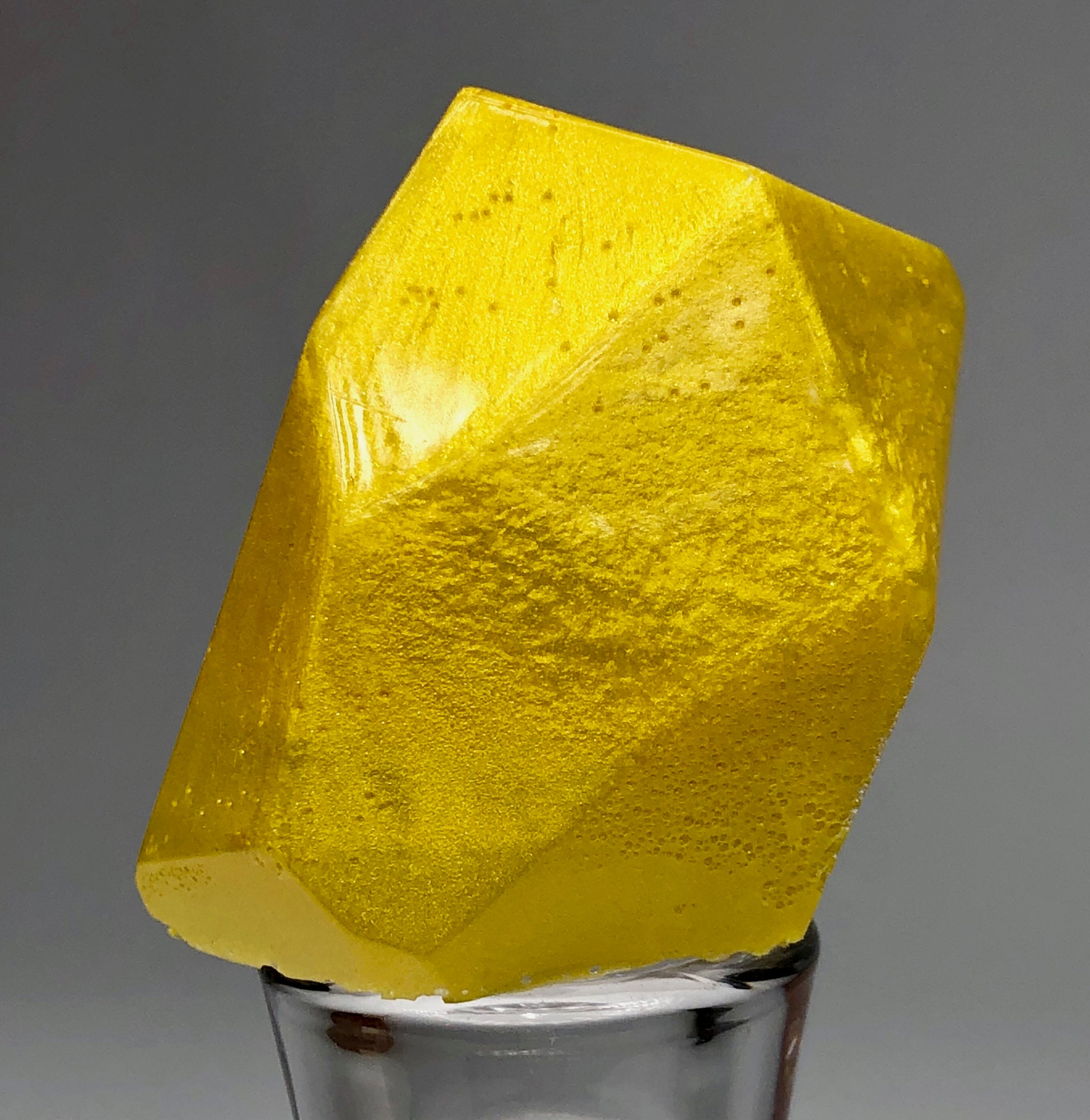"24K GOLD" Black Diamond Pigments