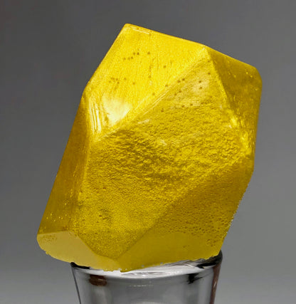 "24K GOLD" Black Diamond Pigments